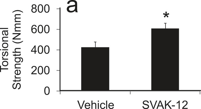 Fig. 5-A