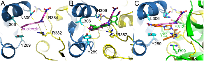 Figure 3