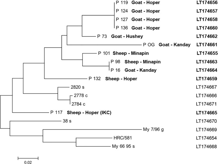 FIG 3: