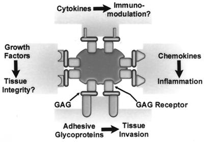 FIG. 5