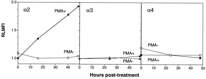 FIG. 5