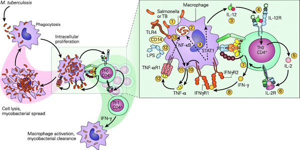 Figure 6.