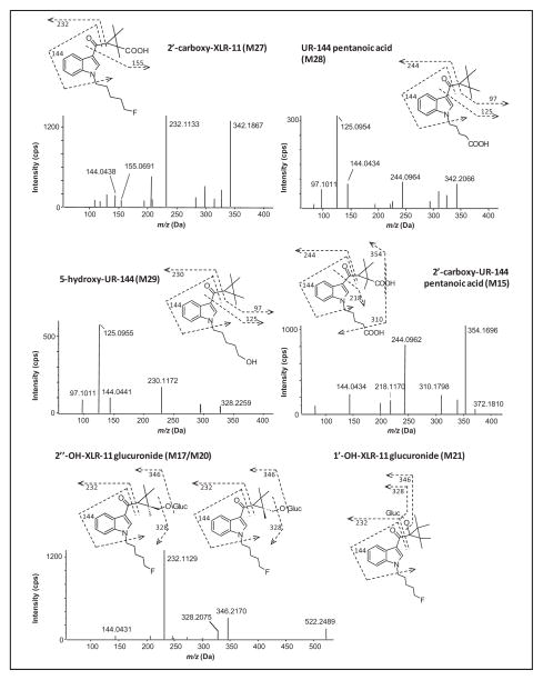 Fig. 3