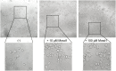 Fig 9