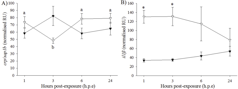 Fig. 9