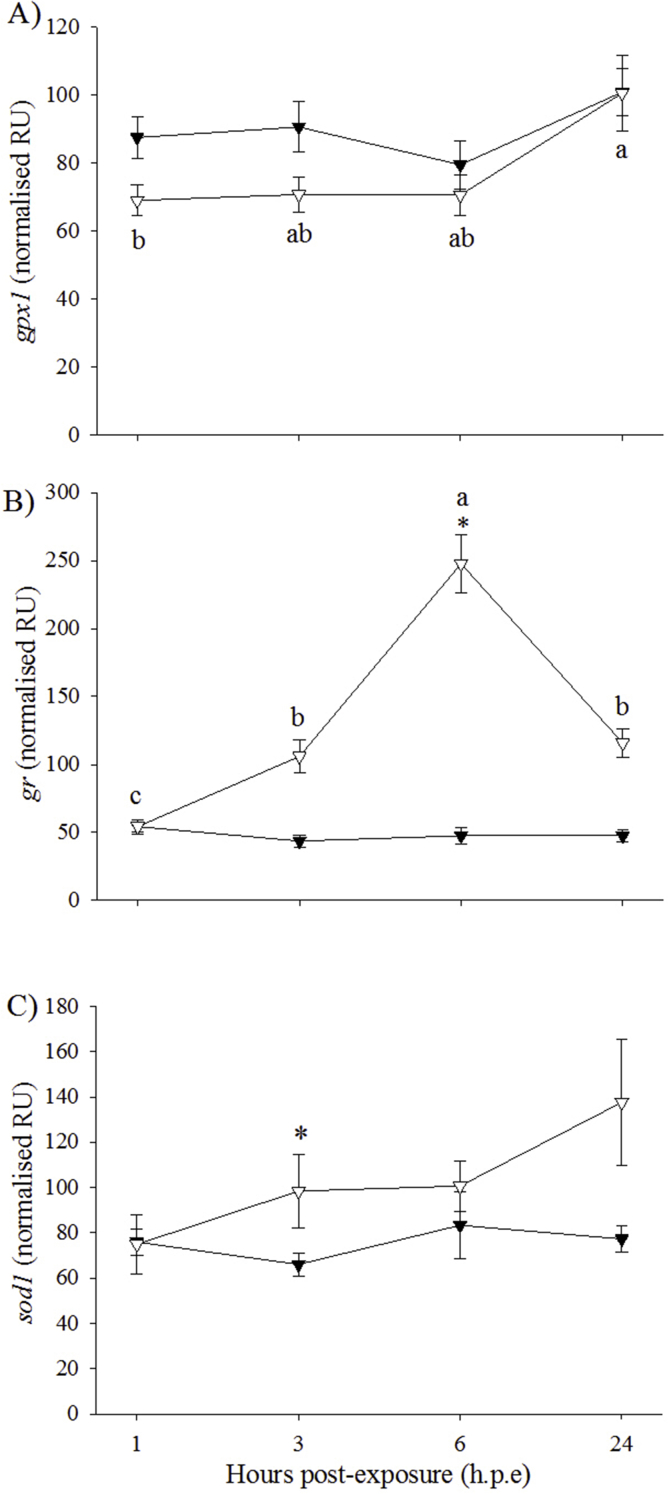 Fig. 8