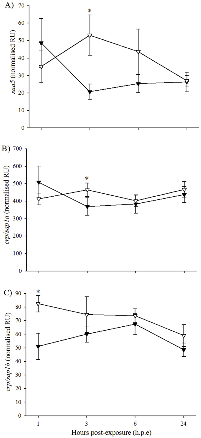 Fig. 7