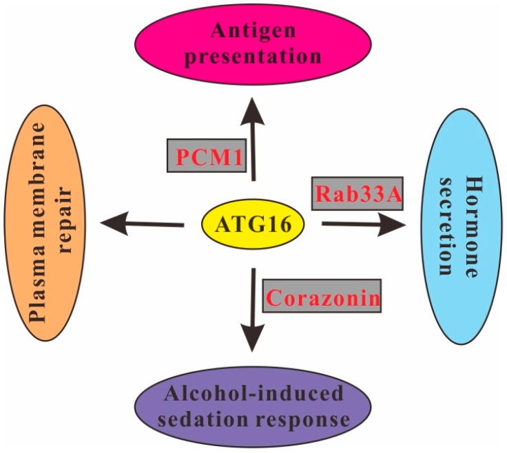 Figure 5