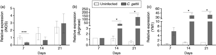 Figure 5.