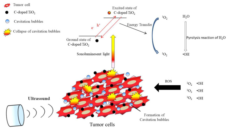 Figure 10