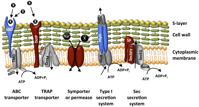 Figure 5