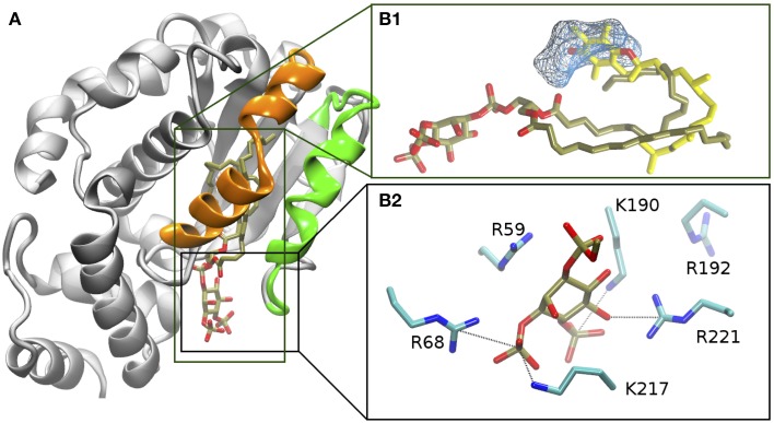 Figure 2