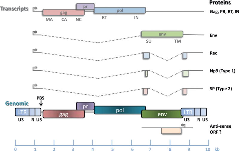 Fig. 22.1