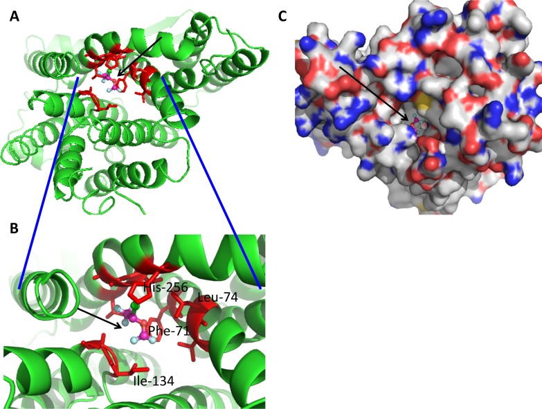 Fig 8