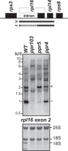 Figure 5.