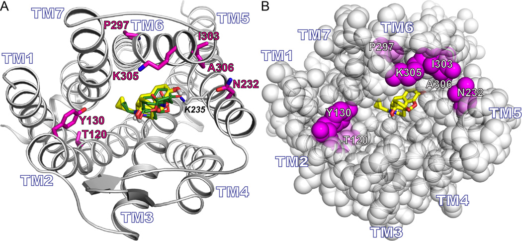 Figure 7