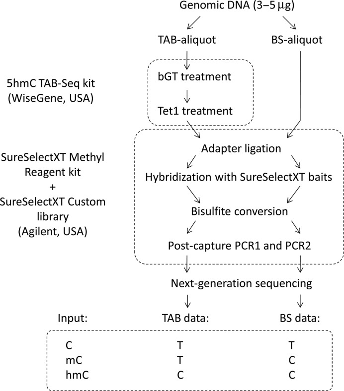 Figure 1.