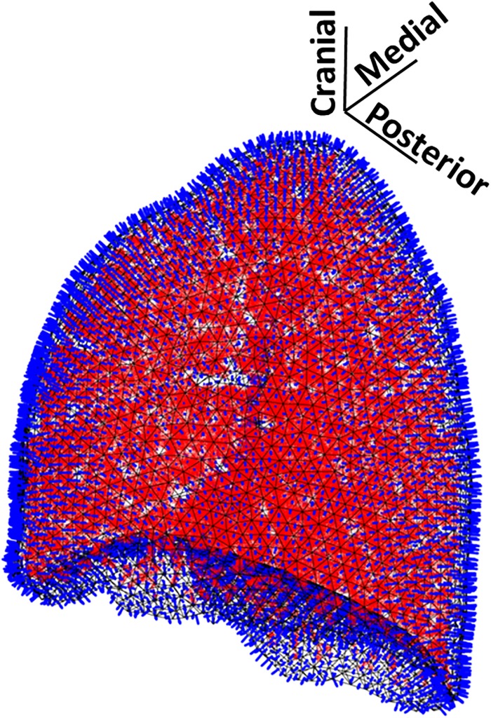 FIG. 1.