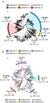 Fig. 4