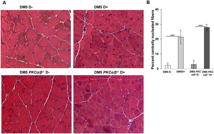 Fig 4