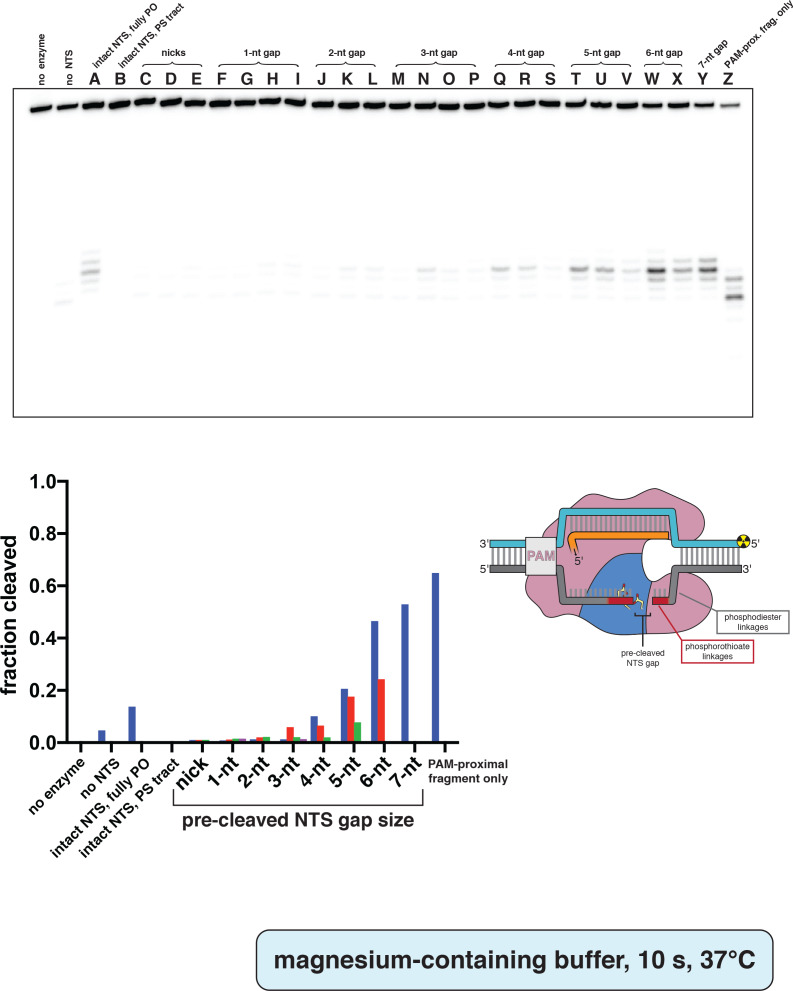 Appendix 2—figure 2—figure supplement 6.