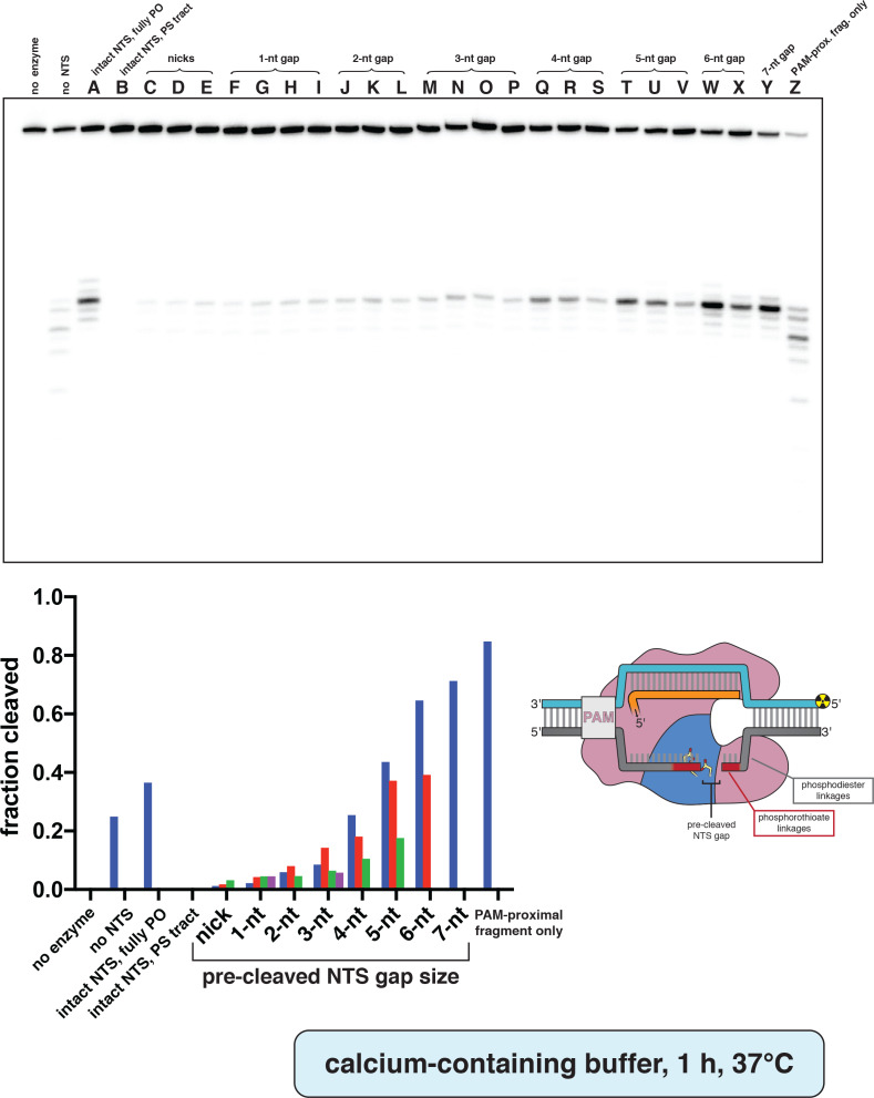 Appendix 2—figure 2—figure supplement 5.