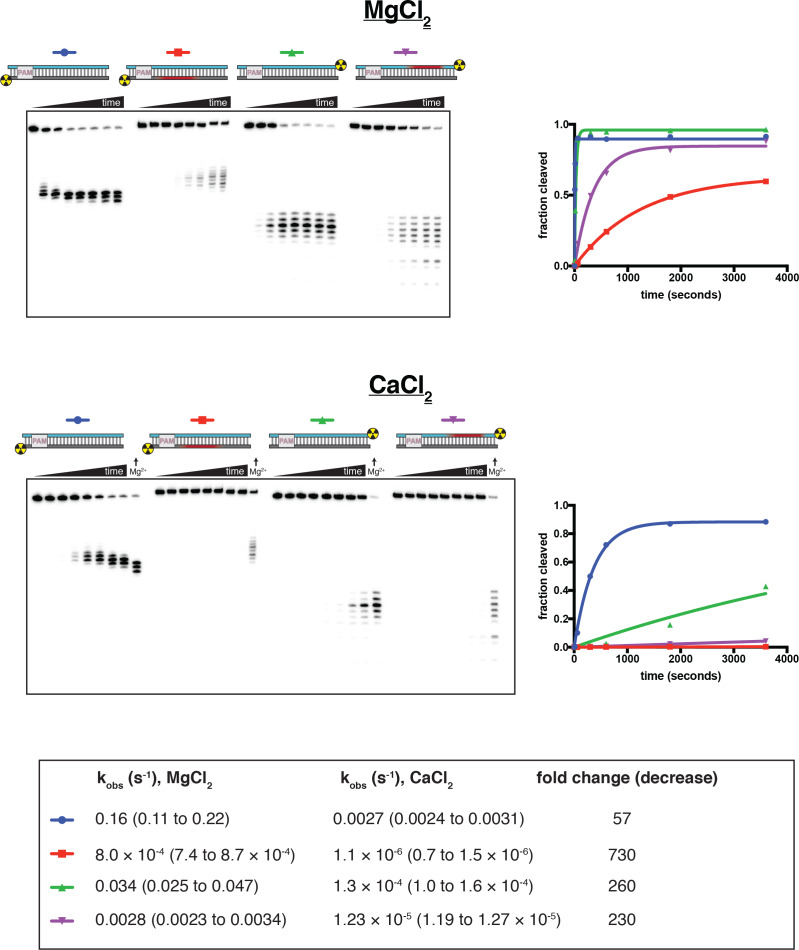 Appendix 2—figure 2—figure supplement 2.