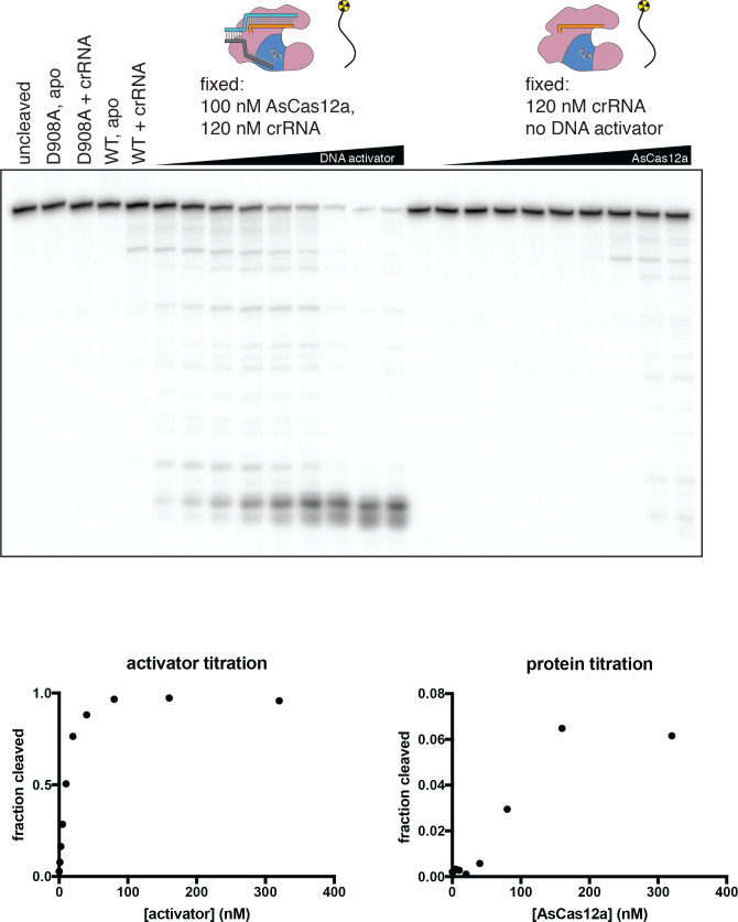 Appendix 2—figure 1—figure supplement 4.