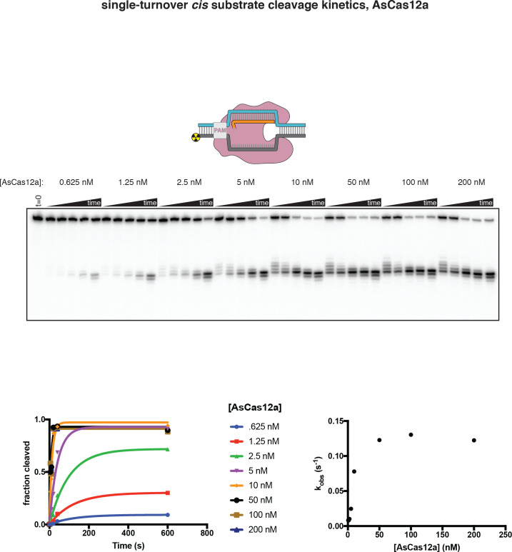 Appendix 2—figure 1—figure supplement 3.