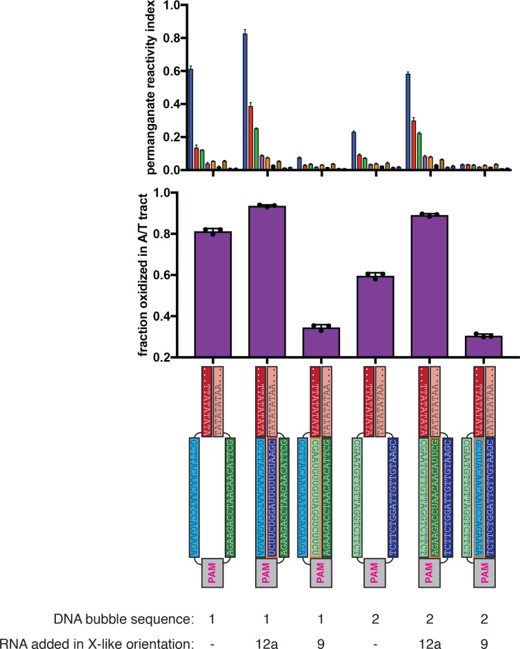 Figure 4—figure supplement 5.