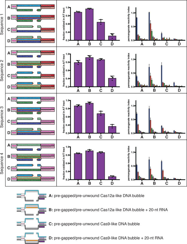 Figure 4—figure supplement 3.