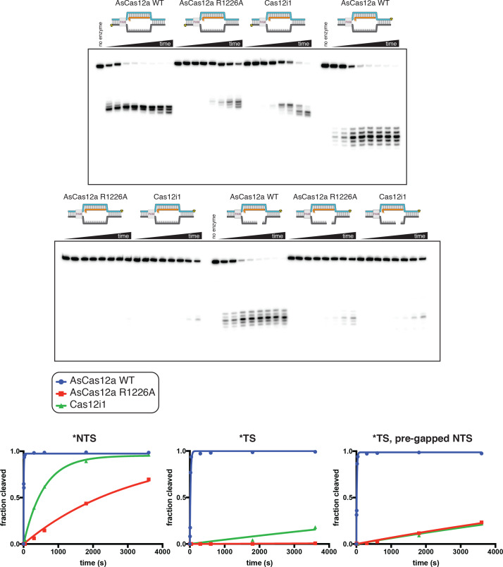 Appendix 2—figure 2—figure supplement 8.