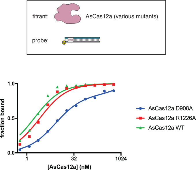 Appendix 2—figure 2—figure supplement 9.