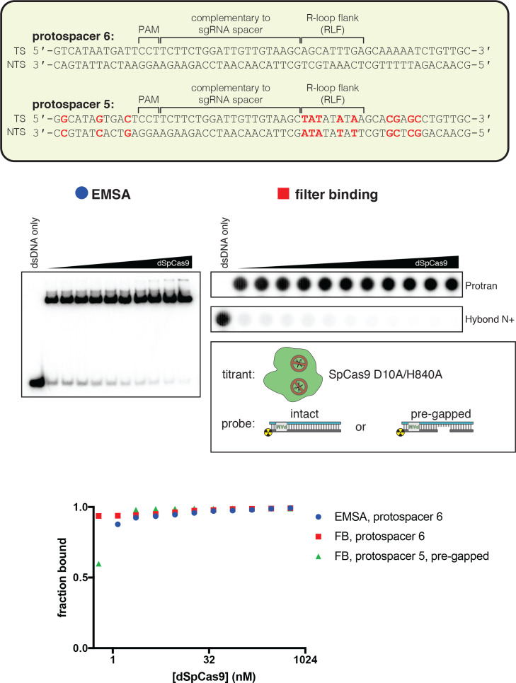 Figure 4—figure supplement 2.