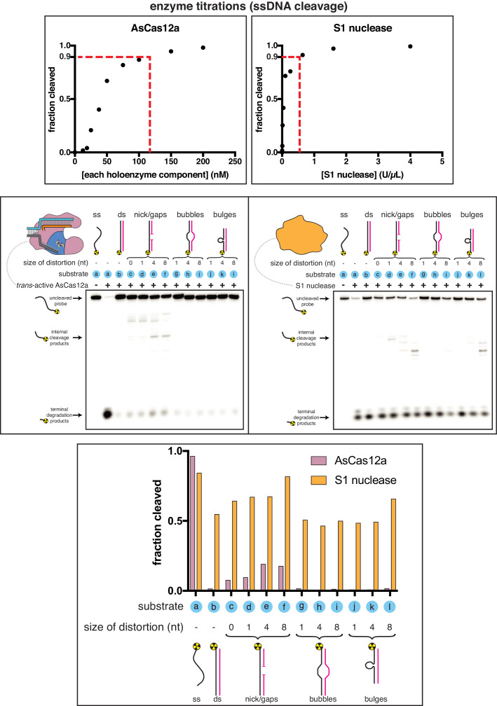 Appendix 1—figure 1—figure supplement 1.