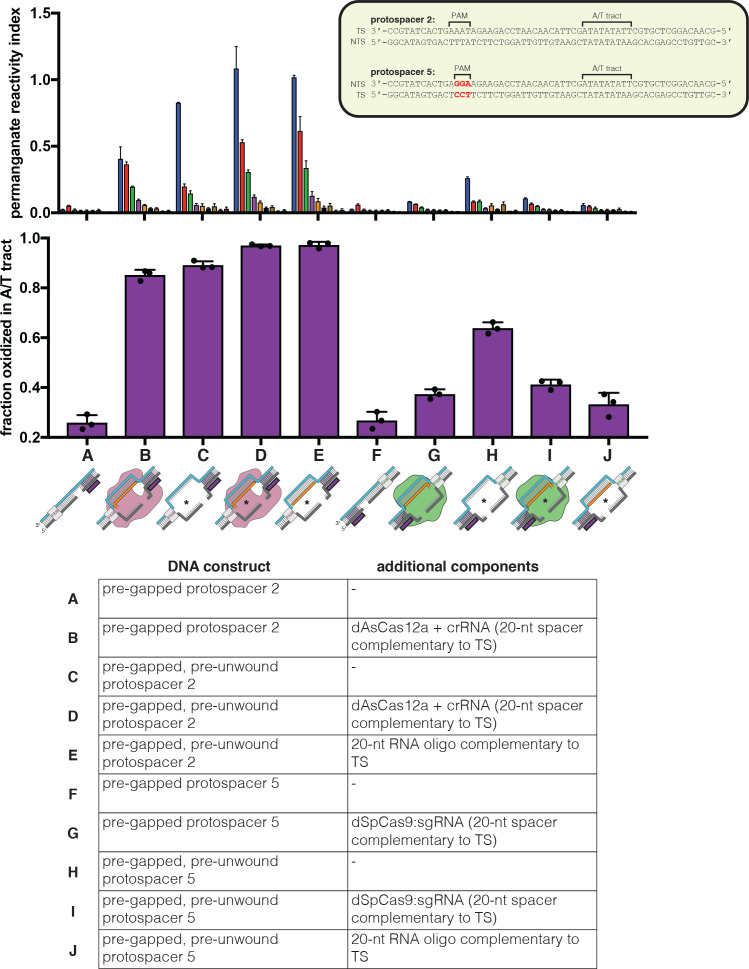 Figure 4—figure supplement 1.