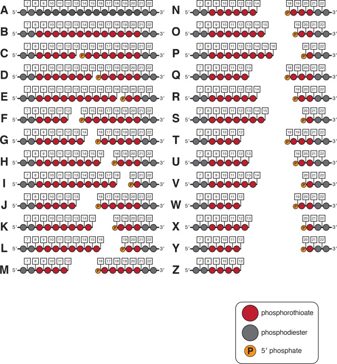 Appendix 2—figure 2—figure supplement 4.