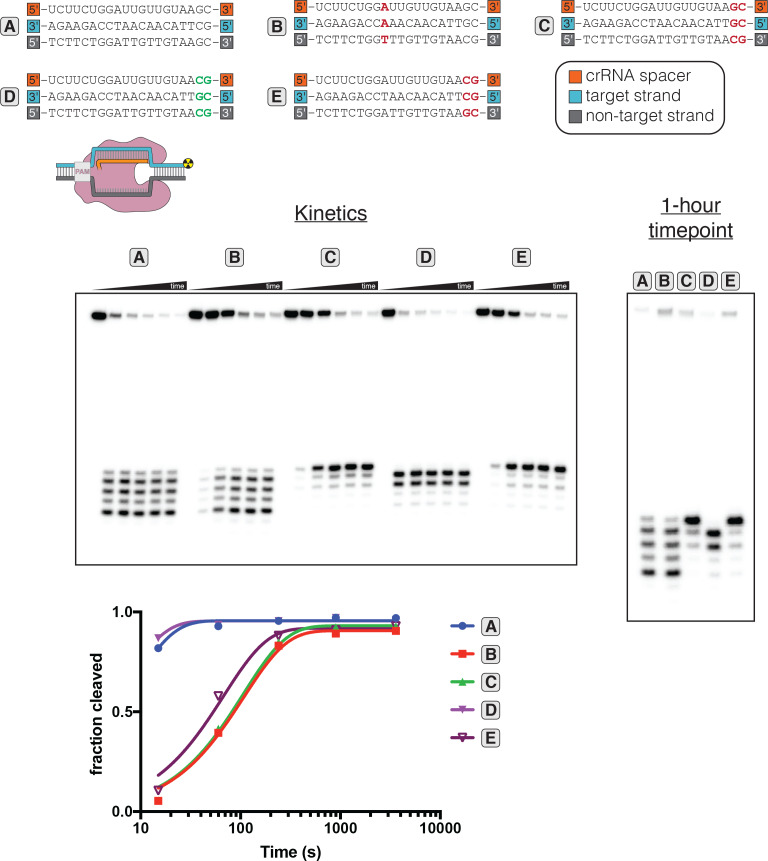 Figure 3—figure supplement 5.