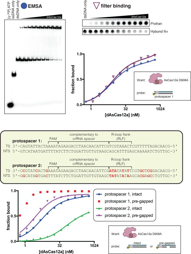 Figure 2—figure supplement 2.