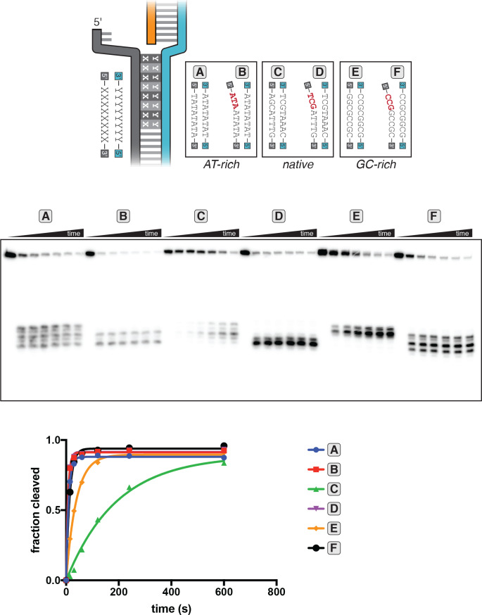 Figure 3—figure supplement 7.