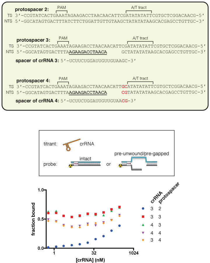 Figure 3—figure supplement 1.