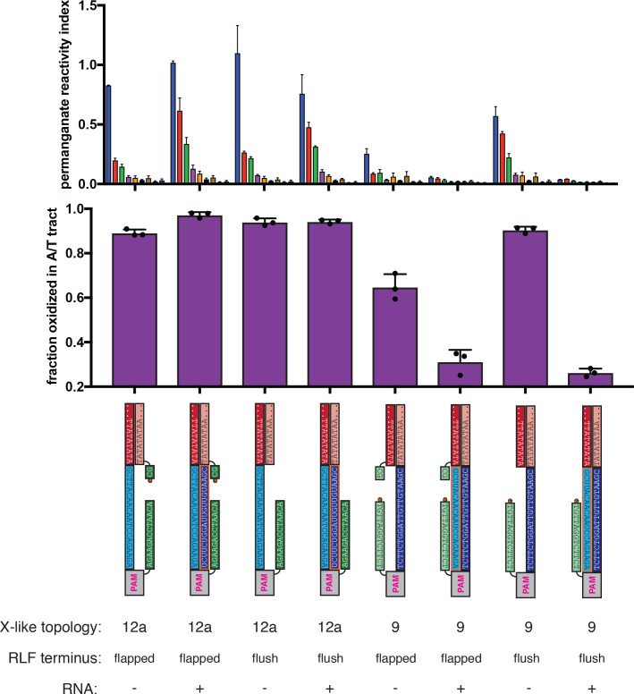 Figure 4—figure supplement 6.