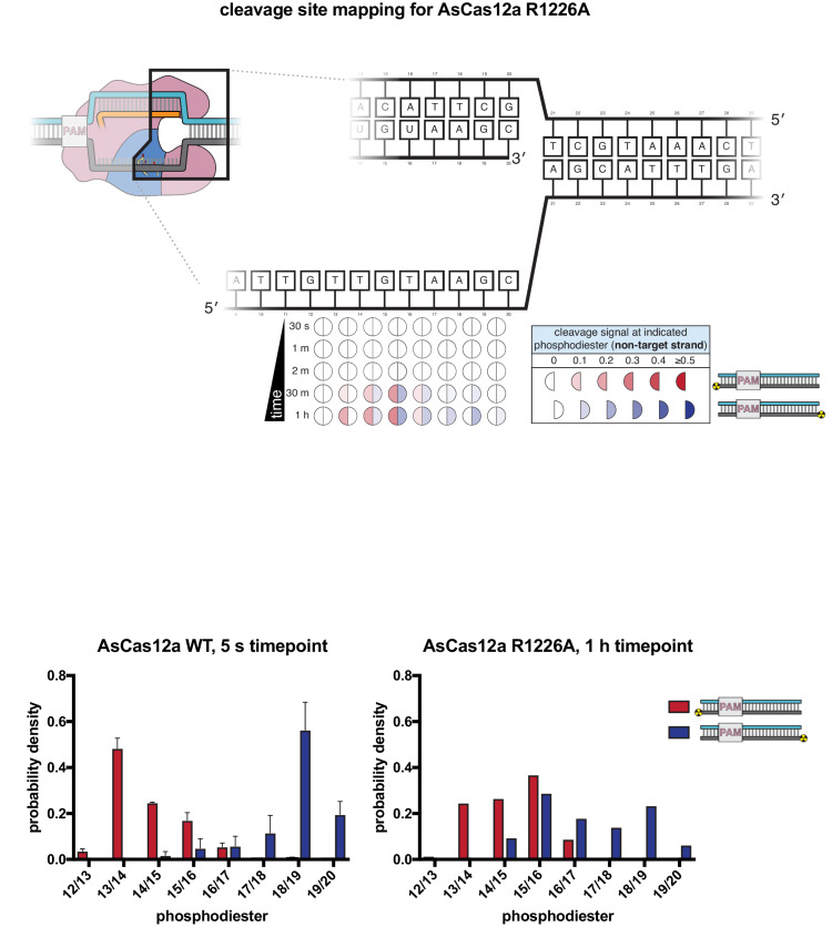 Appendix 2—figure 2—figure supplement 10.