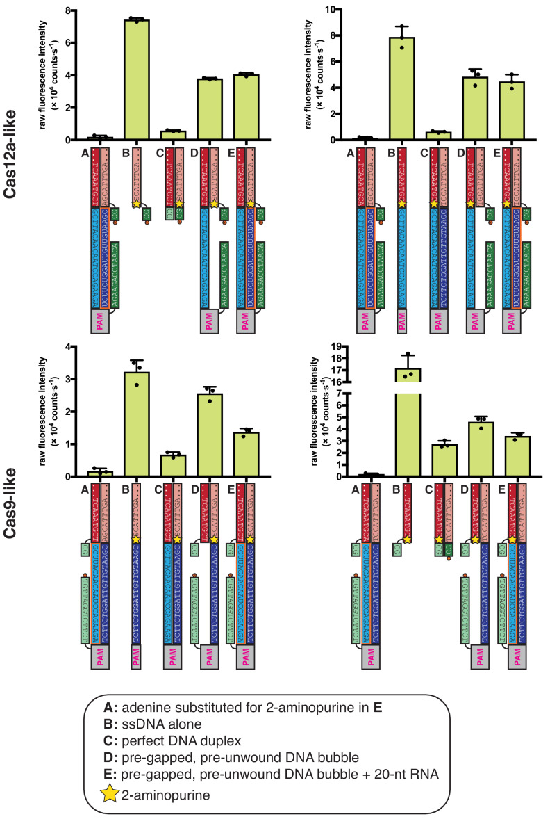 Figure 4—figure supplement 7.