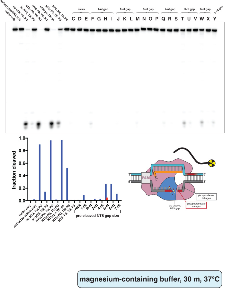 Appendix 2—figure 2—figure supplement 7.