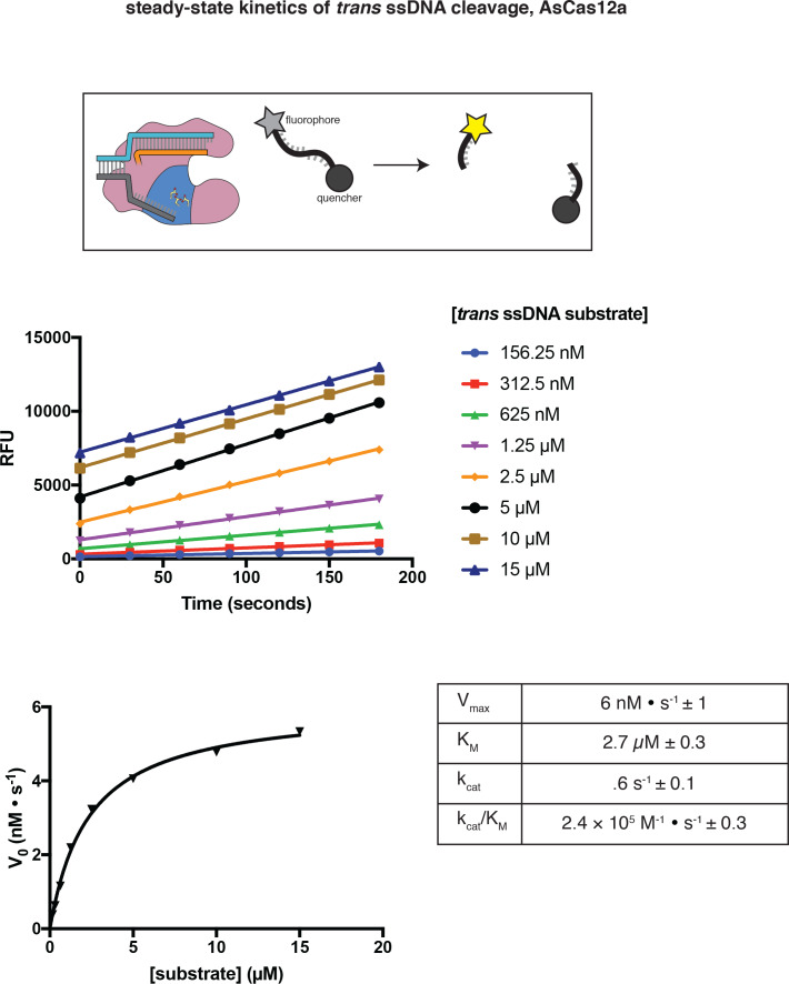 Appendix 2—figure 1—figure supplement 2.