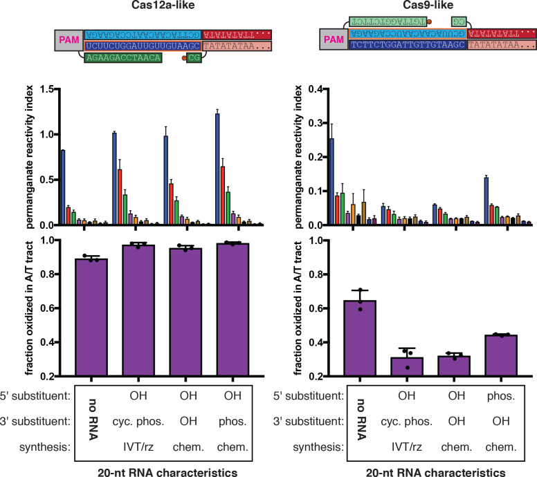 Figure 4—figure supplement 4.