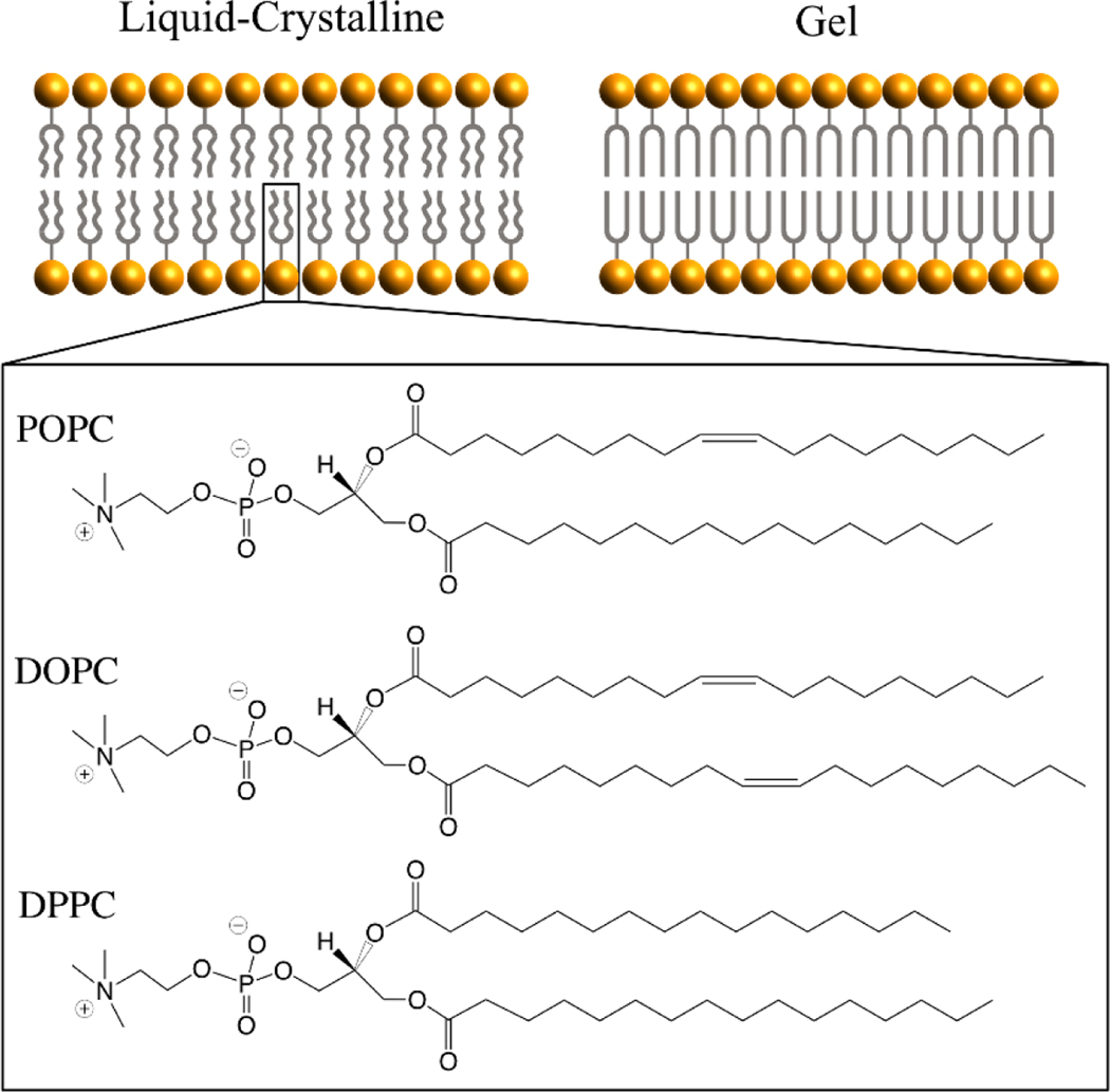 Figure 9.