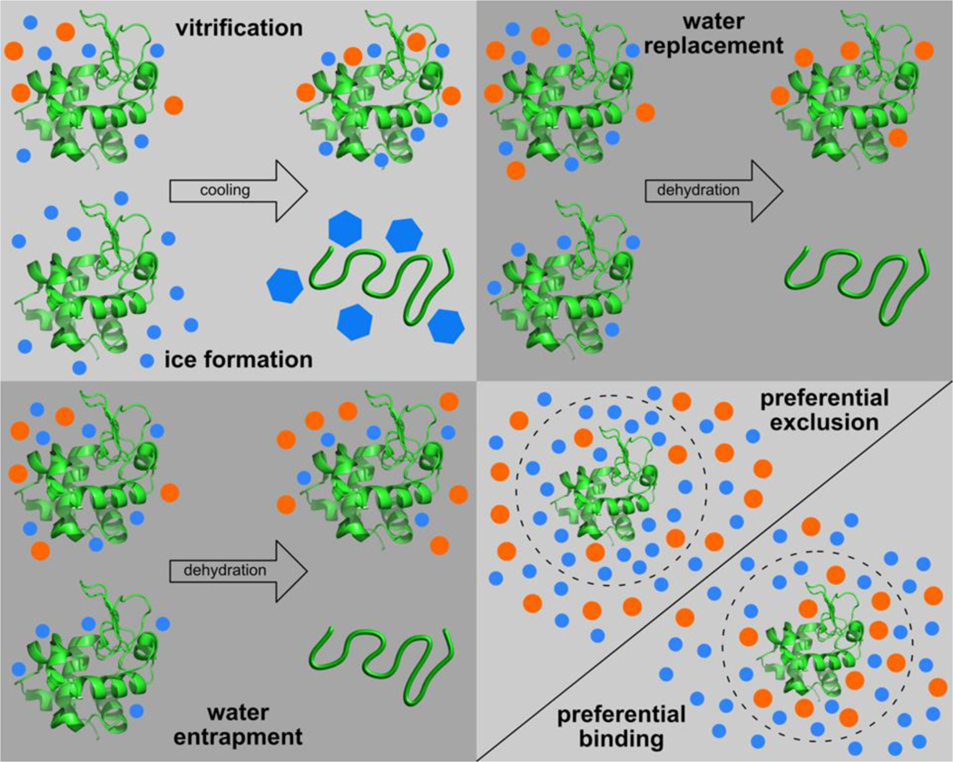 Figure 11.