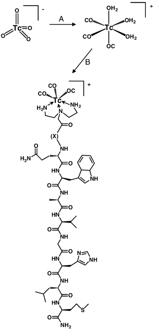 Scheme 2